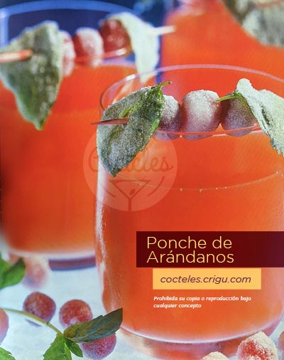 Ponche de Arándanos Cóctel sin Alcohol receta con ingredientes y fotos